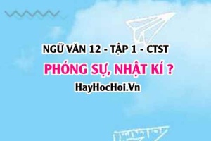 Phóng sự là gì? Nhật kí là gì? Tính phi hư cấu trong phóng sự, nhật kí? Ngữ Văn 12